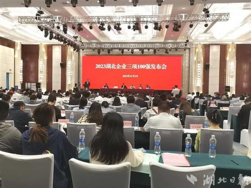 卓爾控股領航湖北服務業(yè)百強榜 企業(yè)管理咨詢視角下的卓越之道